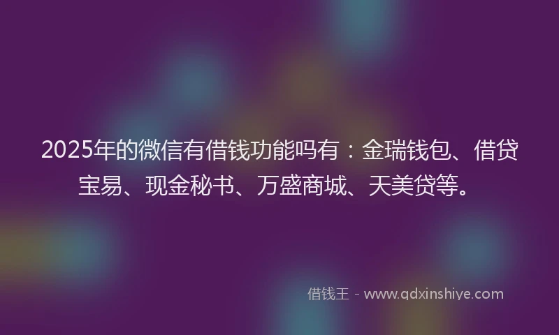 2025年的微信有借钱功能吗有：金瑞钱包、借贷宝易、现金秘书、万盛商城、天美贷等。