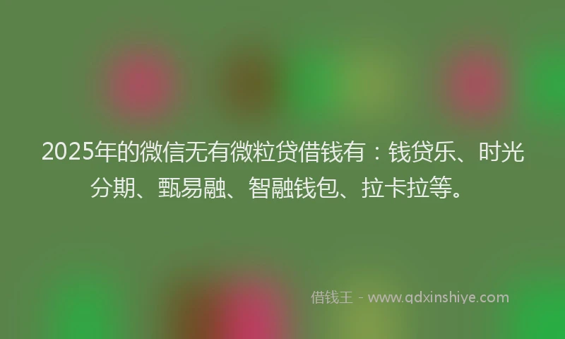 2025年的微信无有微粒贷借钱有：钱贷乐、时光分期、甄易融、智融钱包、拉卡拉等。