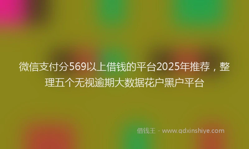 微信支付分569以上借钱的平台2025年推荐，整理五个无视逾期大数据花户黑户平台