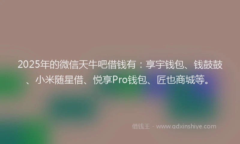 2025年的微信天牛吧借钱有：享宇钱包、钱鼓鼓、小米随星借、悦享Pro钱包、匠也商城等。