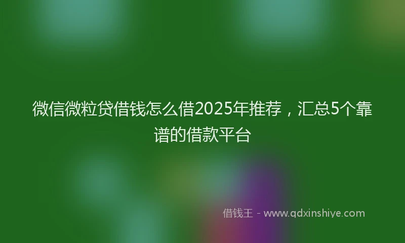 微信微粒贷借钱怎么借2025年推荐，汇总5个靠谱的借款平台