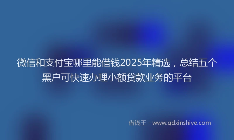 微信和支付宝哪里能借钱2025年精选，总结五个黑户可快速办理小额贷款业务的平台