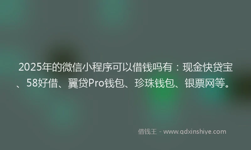 2025年的微信小程序可以借钱吗有：现金快贷宝、58好借、翼贷Pro钱包、珍珠钱包、银票网等。
