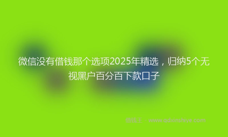 微信没有借钱那个选项2025年精选，归纳5个无视黑户百分百下款口子