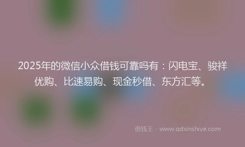 2025年的微信小众借钱可靠吗有：闪电宝、骏祥优购、比速易购、现金秒借、东方汇等。