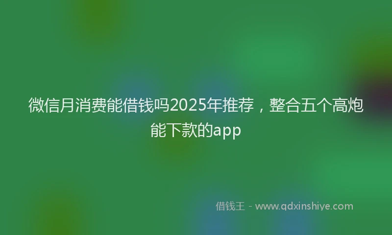 微信月消费能借钱吗2025年推荐，整合五个高炮能下款的app