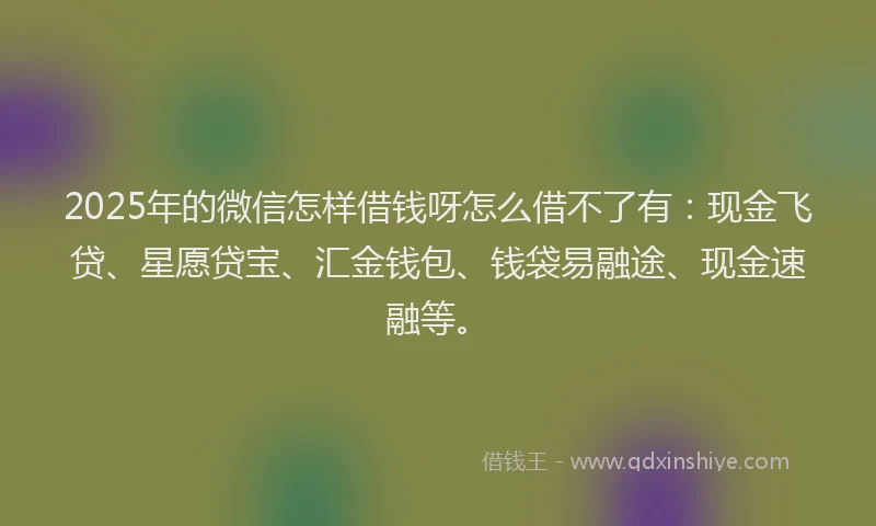 2025年的微信怎样借钱呀怎么借不了有：现金飞贷、星愿贷宝、汇金钱包、钱袋易融途、现金速融等。