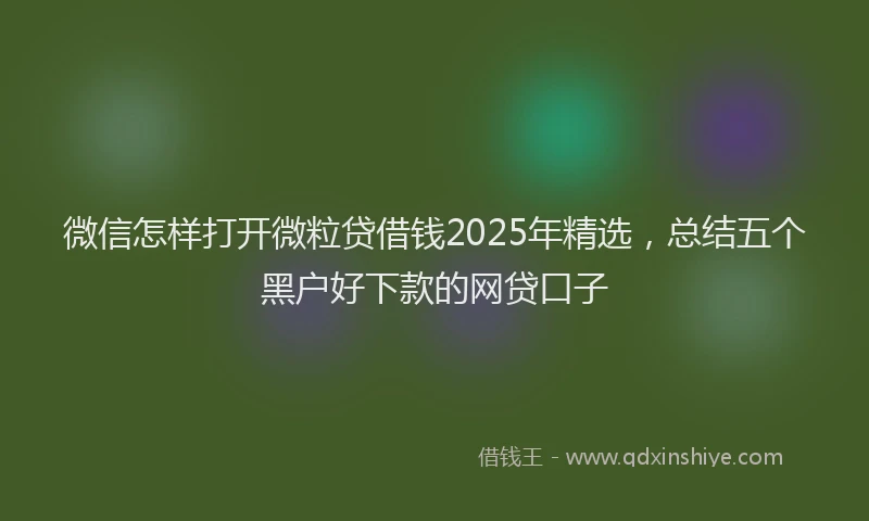 微信怎样打开微粒贷借钱2025年精选，总结五个黑户好下款的网贷口子