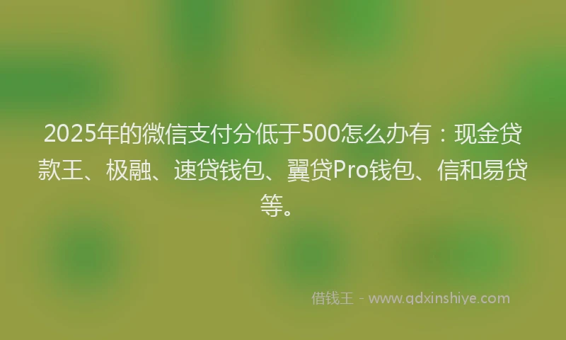 2025年的微信支付分低于500怎么办有：现金贷款王、极融、速贷钱包、翼贷Pro钱包、信和易贷等。