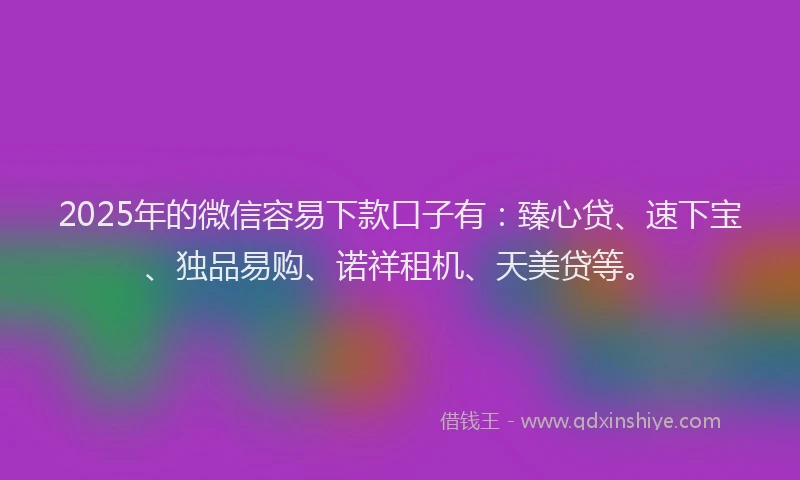 2025年的微信容易下款口子有：臻心贷、速下宝、独品易购、诺祥租机、天美贷等。
