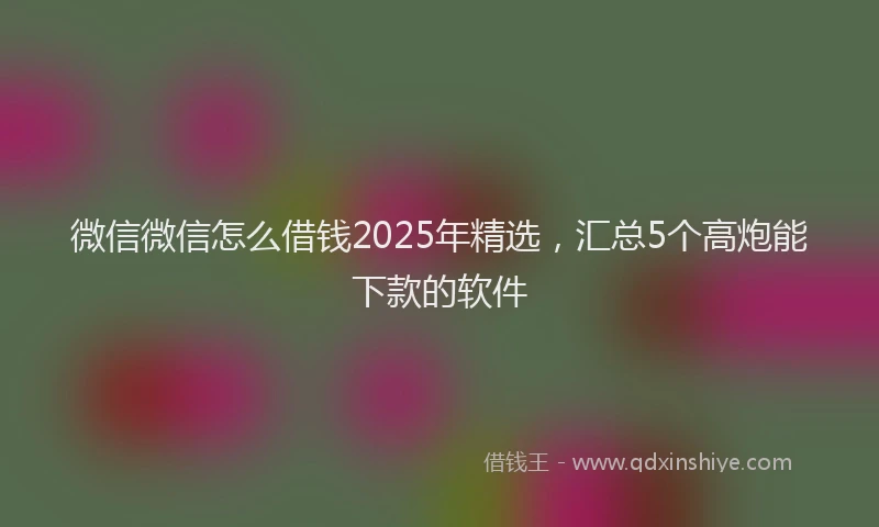 微信微信怎么借钱2025年精选，汇总5个高炮能下款的软件