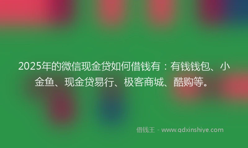 2025年的微信现金贷如何借钱有：有钱钱包、小金鱼、现金贷易行、极客商城、酷购等。