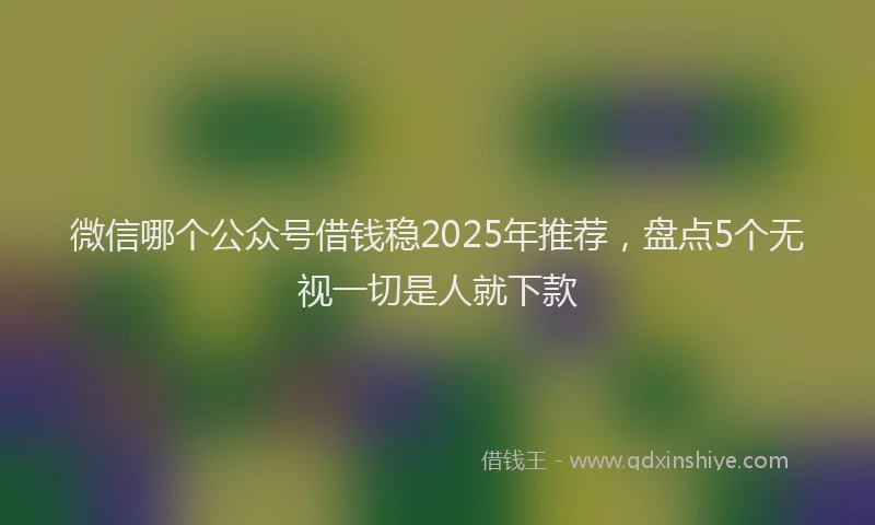微信哪个公众号借钱稳2025年推荐，盘点5个无视一切是人就下款