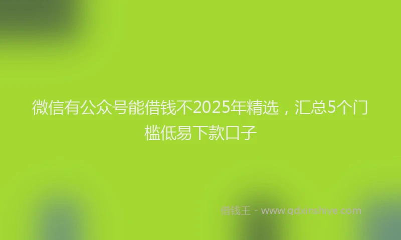 微信有公众号能借钱不2025年精选，汇总5个门槛低易下款口子