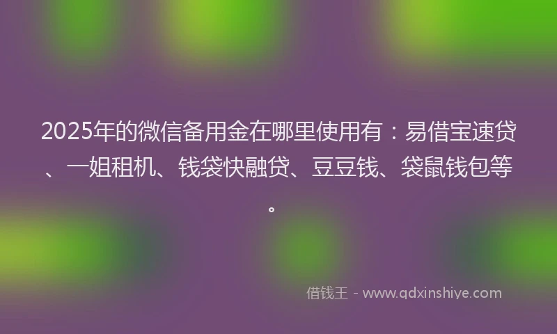 2025年的微信备用金在哪里使用有：易借宝速贷、一姐租机、钱袋快融贷、豆豆钱、袋鼠钱包等。