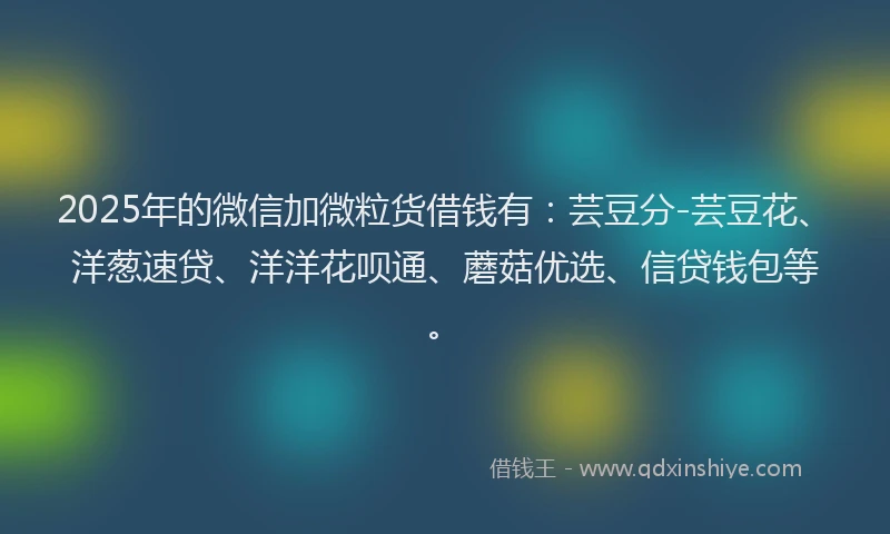 2025年的微信加微粒货借钱有：芸豆分-芸豆花、洋葱速贷、洋洋花呗通、蘑菇优选、信贷钱包等。