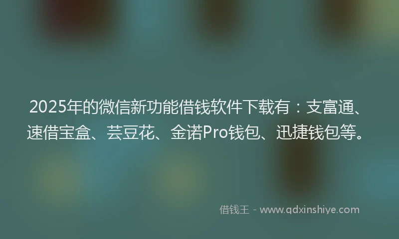 2025年的微信新功能借钱软件下载有：支富通、速借宝盒、芸豆花、金诺Pro钱包、迅捷钱包等。