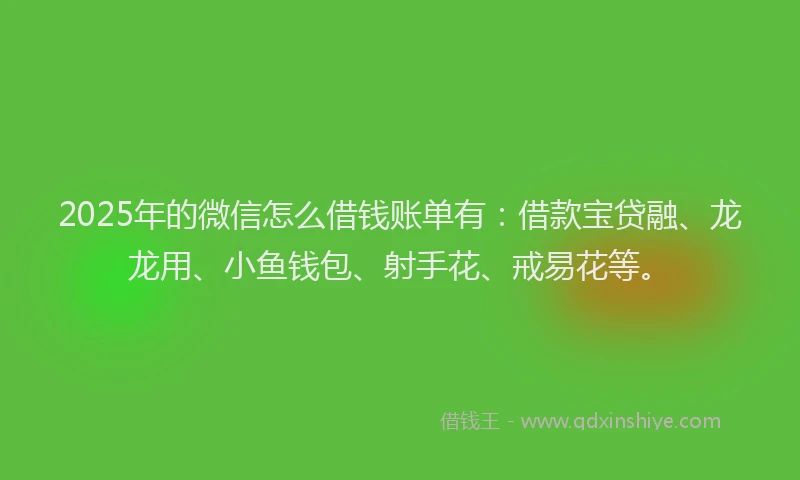 2025年的微信怎么借钱账单有：借款宝贷融、龙龙用、小鱼钱包、射手花、戒易花等。