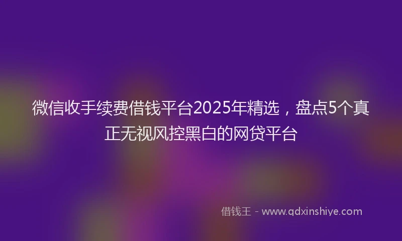 微信收手续费借钱平台2025年精选，盘点5个真正无视风控黑白的网贷平台