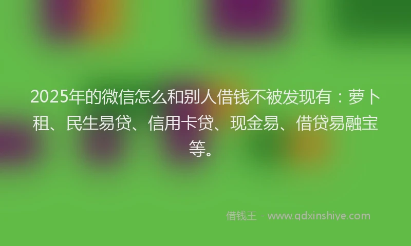 2025年的微信怎么和别人借钱不被发现有：萝卜租、民生易贷、信用卡贷、现金易、借贷易融宝等。
