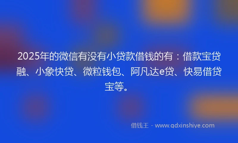 2025年的微信有没有小贷款借钱的有：借款宝贷融、小象快贷、微粒钱包、阿凡达e贷、快易借贷宝等。
