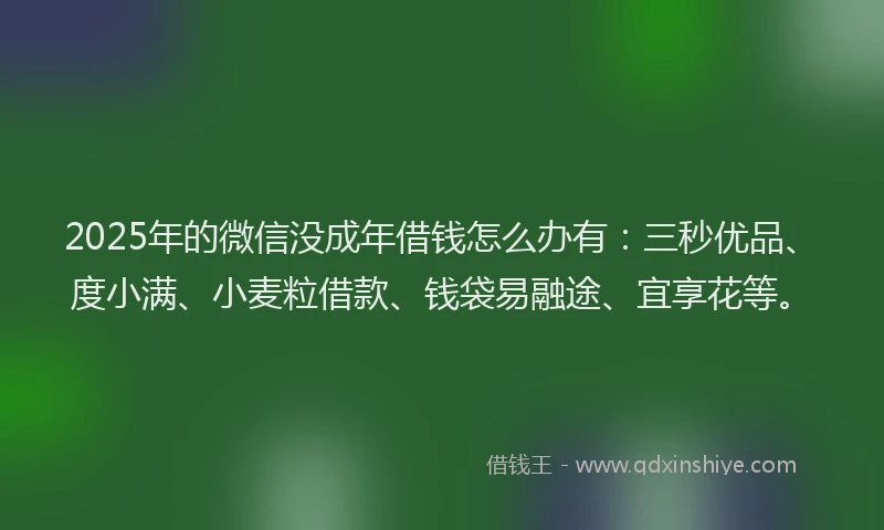 2025年的微信没成年借钱怎么办有：三秒优品、度小满、小麦粒借款、钱袋易融途、宜享花等。