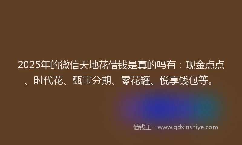 2025年的微信天地花借钱是真的吗有：现金点点、时代花、甄宝分期、零花罐、悦享钱包等。