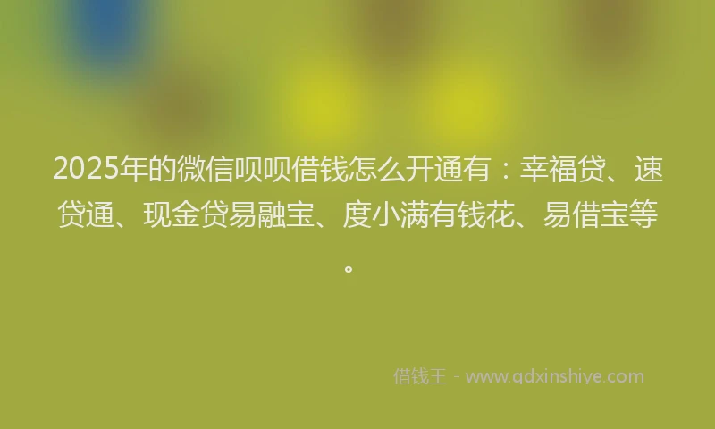 2025年的微信呗呗借钱怎么开通有：幸福贷、速贷通、现金贷易融宝、度小满有钱花、易借宝等。