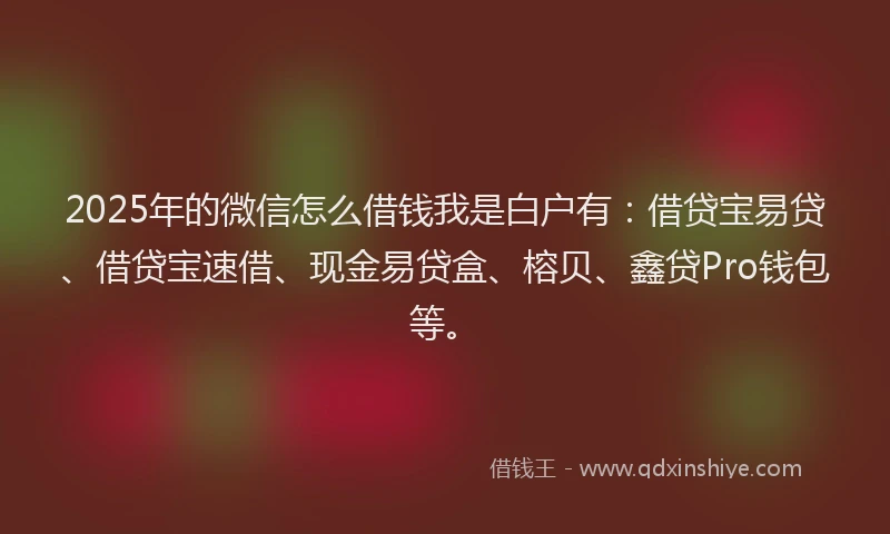 2025年的微信怎么借钱我是白户有：借贷宝易贷、借贷宝速借、现金易贷盒、榕贝、鑫贷Pro钱包等。
