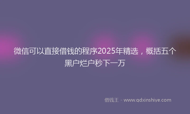 微信可以直接借钱的程序2025年精选，概括五个黑户烂户秒下一万