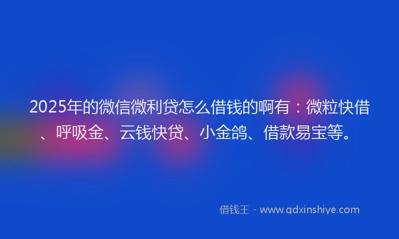 2025年的微信微利贷怎么借钱的啊有：微粒快借、呼吸金、云钱快贷、小金鸽、借款易宝等。