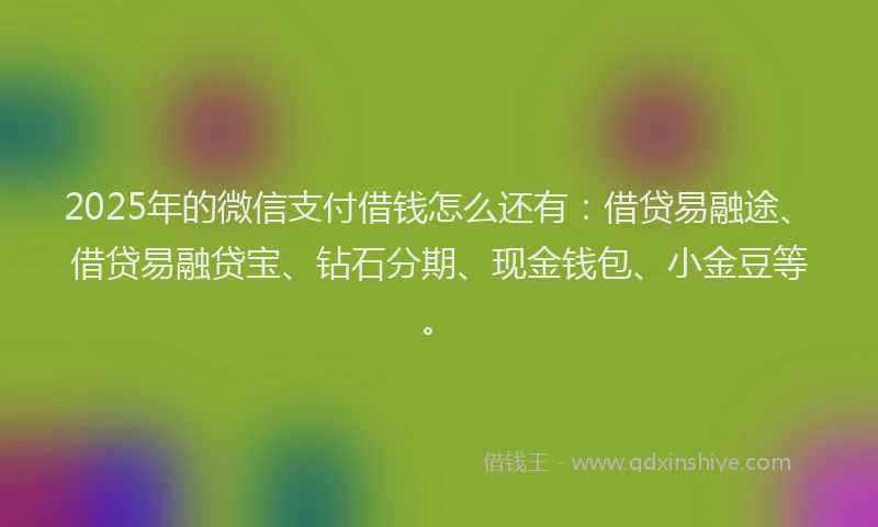 2025年的微信支付借钱怎么还有：借贷易融途、借贷易融贷宝、钻石分期、现金钱包、小金豆等。