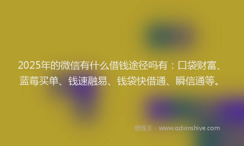 2025年的微信有什么借钱途径吗有：口袋财富、蓝莓买单、钱速融易、钱袋快借通、瞬信通等。