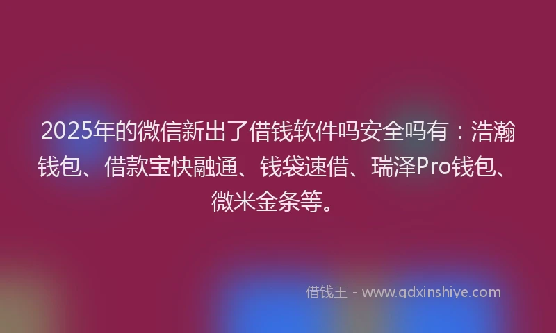 2025年的微信新出了借钱软件吗安全吗有：浩瀚钱包、借款宝快融通、钱袋速借、瑞泽Pro钱包、微米金条等。