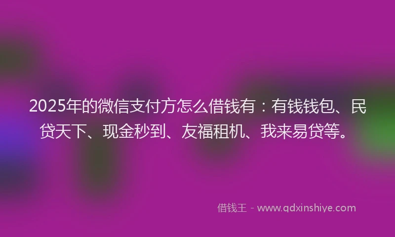 2025年的微信支付方怎么借钱有：有钱钱包、民贷天下、现金秒到、友福租机、我来易贷等。