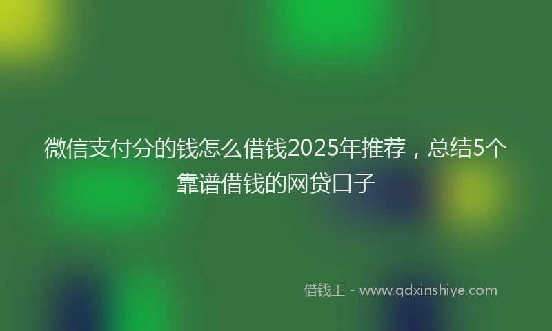 微信支付分的钱怎么借钱2025年推荐，总结5个靠谱借钱的网贷口子