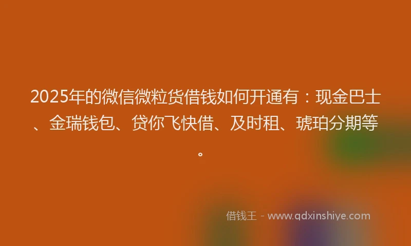 2025年的微信微粒货借钱如何开通有：现金巴士、金瑞钱包、贷你飞快借、及时租、琥珀分期等。