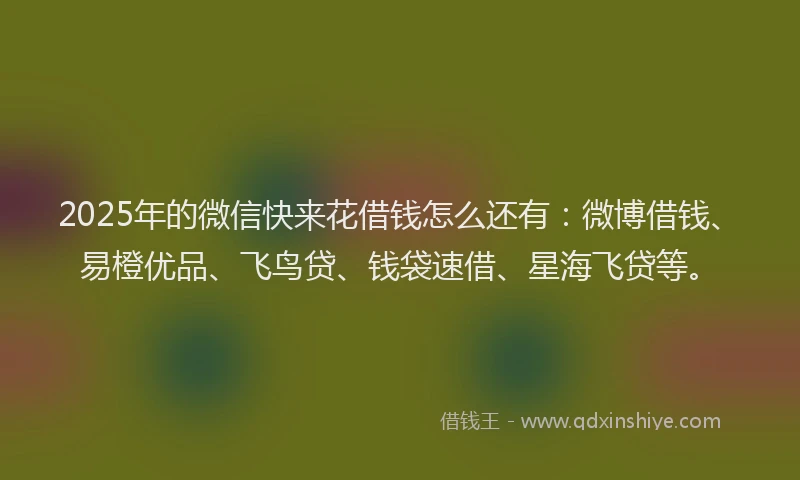 2025年的微信快来花借钱怎么还有：微博借钱、易橙优品、飞鸟贷、钱袋速借、星海飞贷等。
