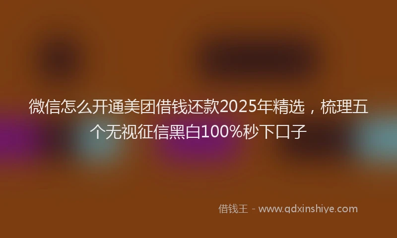 微信怎么开通美团借钱还款2025年精选，梳理五个无视征信黑白100%秒下口子