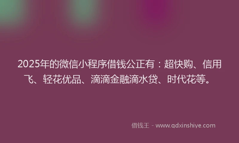 2025年的微信小程序借钱公正有：超快购、信用飞、轻花优品、滴滴金融滴水贷、时代花等。
