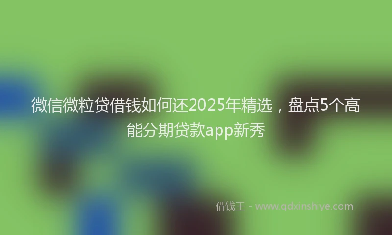 微信微粒贷借钱如何还2025年精选，盘点5个高能分期贷款app新秀
