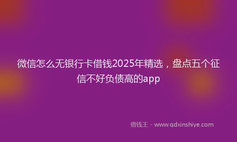 微信怎么无银行卡借钱2025年精选，盘点五个征信不好负债高的app
