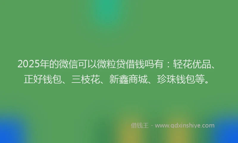 2025年的微信可以微粒贷借钱吗有：轻花优品、正好钱包、三枝花、新鑫商城、珍珠钱包等。