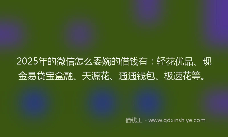 2025年的微信怎么委婉的借钱有：轻花优品、现金易贷宝盒融、天源花、通通钱包、极速花等。