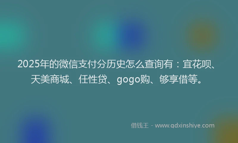 2025年的微信支付分历史怎么查询有：宜花呗、天美商城、任性贷、gogo购、够享借等。