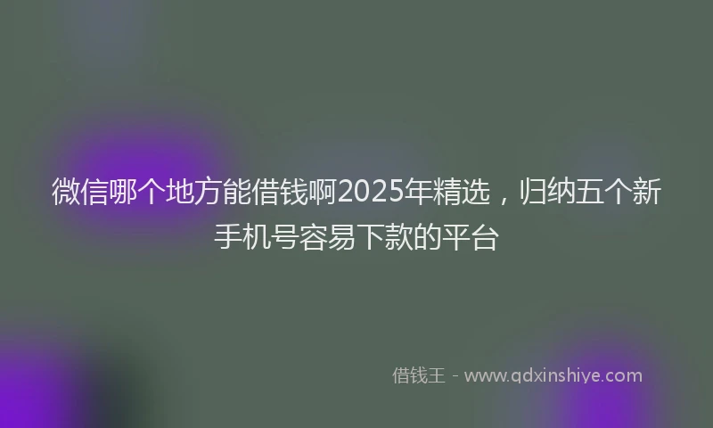 微信哪个地方能借钱啊2025年精选，归纳五个新手机号容易下款的平台