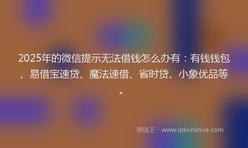2025年的微信提示无法借钱怎么办有：有钱钱包、易借宝速贷、魔法速借、省时贷、小象优品等。