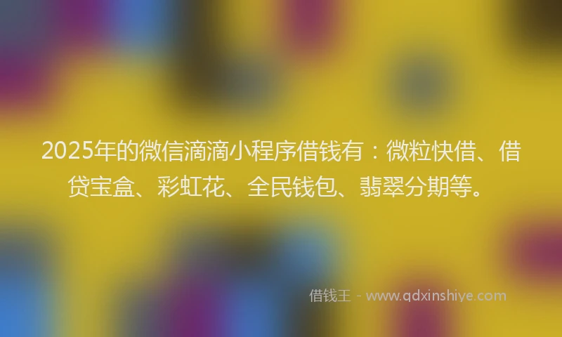 2025年的微信滴滴小程序借钱有：微粒快借、借贷宝盒、彩虹花、全民钱包、翡翠分期等。