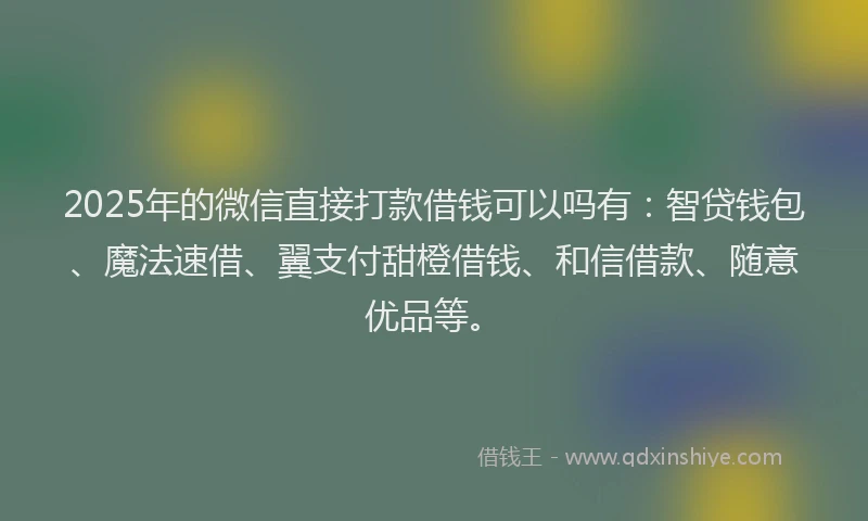 2025年的微信直接打款借钱可以吗有：智贷钱包、魔法速借、翼支付甜橙借钱、和信借款、随意优品等。