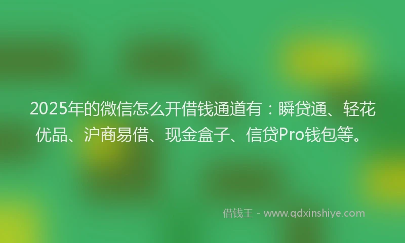 2025年的微信怎么开借钱通道有：瞬贷通、轻花优品、沪商易借、现金盒子、信贷Pro钱包等。